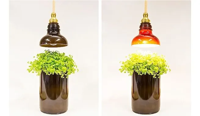 Botellas de cristal recicladas de formas sorprendentes