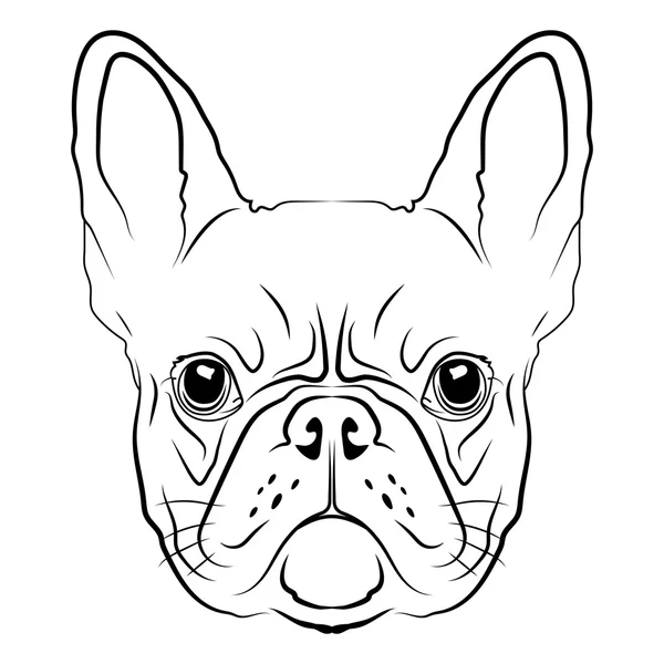 Bouledogue francais Vectores de stock libres de derechos ... Bouledogue francais Vectores de stock libres de derechos ...