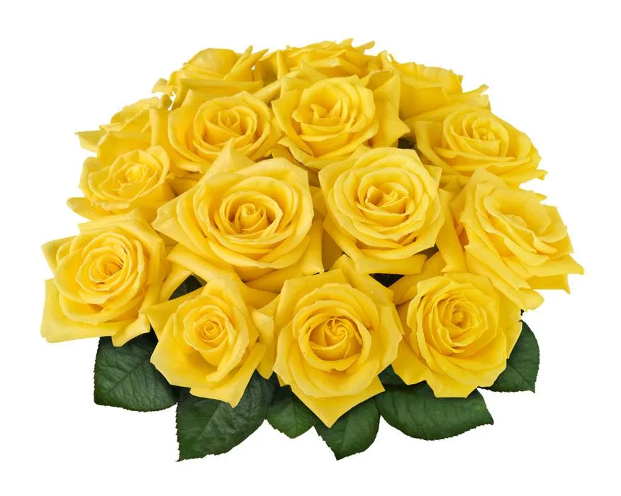 Bouquet de Rosas Amarillas o Naranjas(15/24) a domicilio con ...