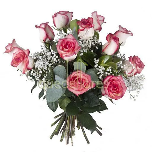 Bouquet de rosas color blanco con los bordes del pétalo rosas ... Bouquet de rosas color blanco con los bordes del pétalo rosas ...