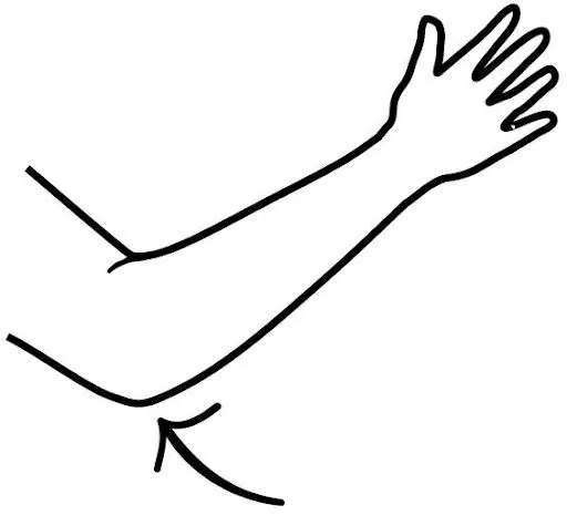 BRAZO PARA COLOREAR - Imagui