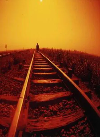 DE LA BREVEDAD DE LA VIDA - el mundo de los negocios