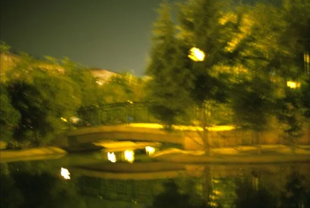 Bridge Over Pond (from the Series Paisajes Oscuros) Original Art ...