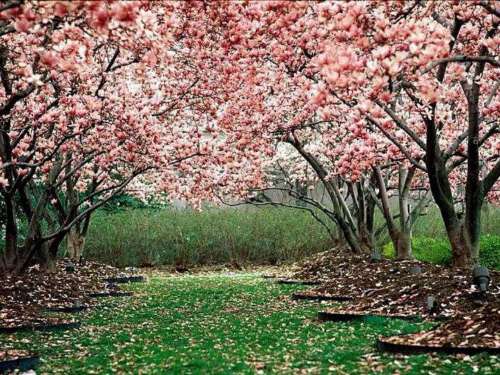 Con Brillo: Limpieza de Primavera (