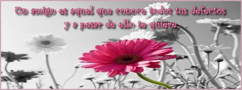 Brillos de Fantasia: FRASES Y MENSAJES PARA TU MURO EN FACEBOOK Brillos de Fantasia: FRASES Y MENSAJES PARA TU MURO EN FACEBOOK