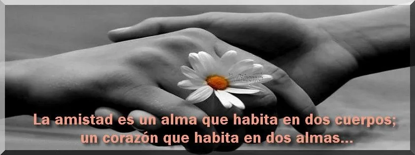 Brillos de Fantasia: FRASES Y MENSAJES PARA TU MURO EN FACEBOOK Brillos de Fantasia: FRASES Y MENSAJES PARA TU MURO EN FACEBOOK
