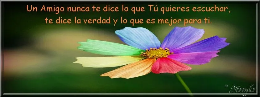 Brillos de Fantasia: FRASES Y MENSAJES PARA TU MURO EN FACEBOOK Brillos de Fantasia: FRASES Y MENSAJES PARA TU MURO EN FACEBOOK