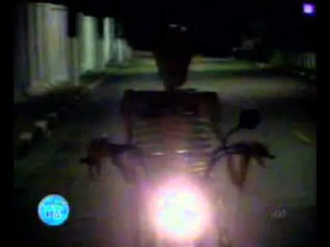 Bromas Chistosas Calaveras - YouTube