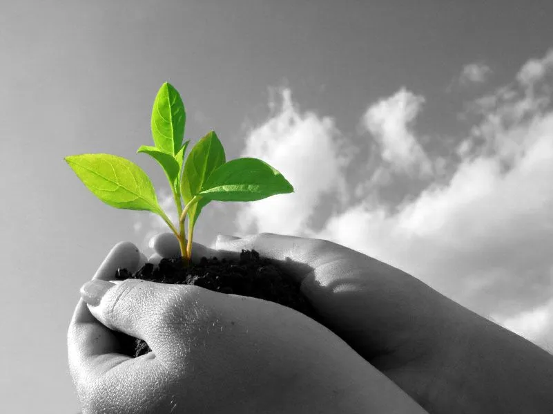 Brotes VERDES en la economía española y europea | ECOTUMISMO Brotes VERDES en la economía española y europea | ECOTUMISMO