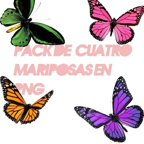Imagenes png de mariposas - Imagui