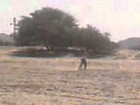 Bruja volando - YouTube