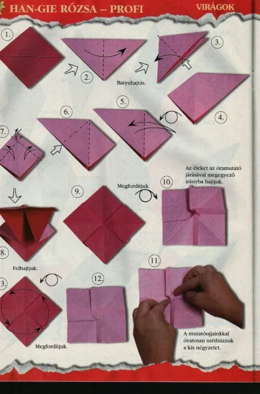 Bruno origami: Origami Rosa m4