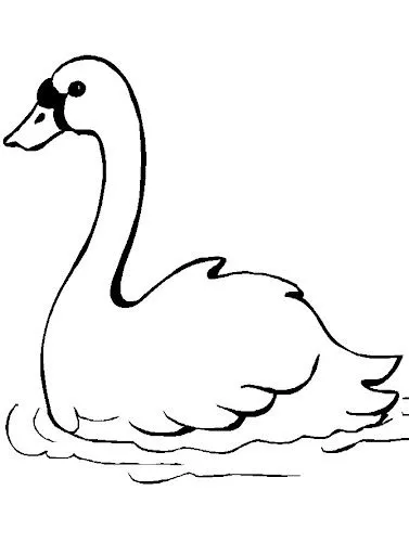 bswan.jpg?imgmax=640