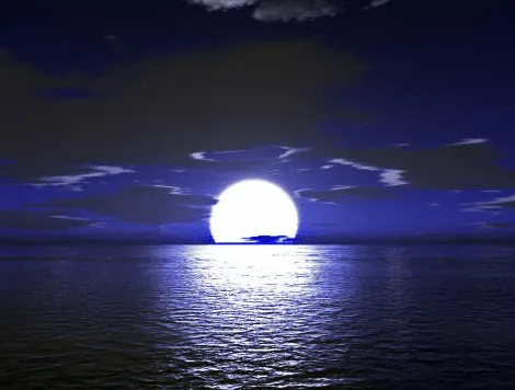 BUCEANDO EN EL MAR DE LOS SUEÑOS: CENA FRENTE AL MAR BUCEANDO EN EL MAR DE LOS SUEÑOS: CENA FRENTE AL MAR