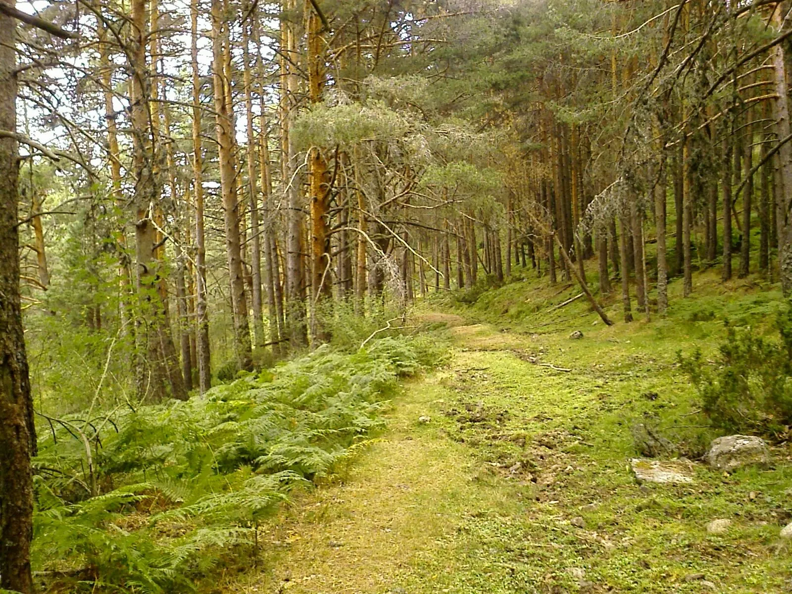 BUCM :: Escritores complutenses 2.0 :: Biblioteca Complutense BUCM :: Escritores complutenses 2.0 :: Biblioteca Complutense