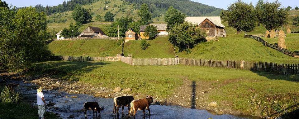 Bucovina - Rumanía