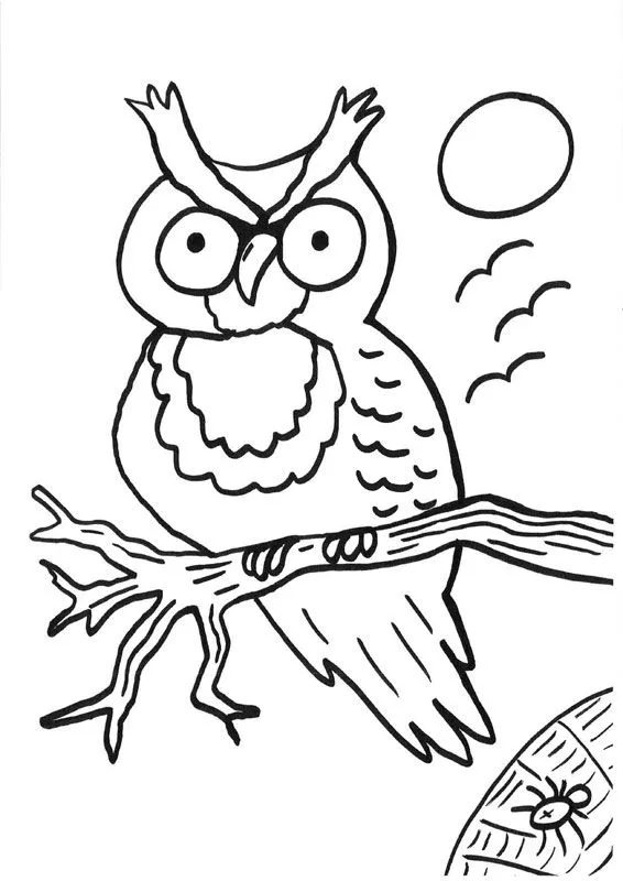Búho y araña: dibujo para colorear e imprimir Búho y araña: dibujo para colorear e imprimir