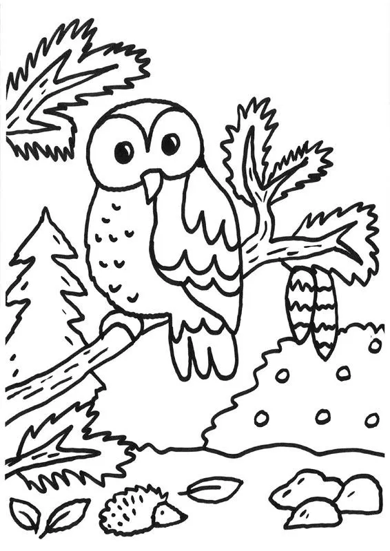 Búho y erizo: dibujo para colorear e imprimir Búho y erizo: dibujo para colorear e imprimir
