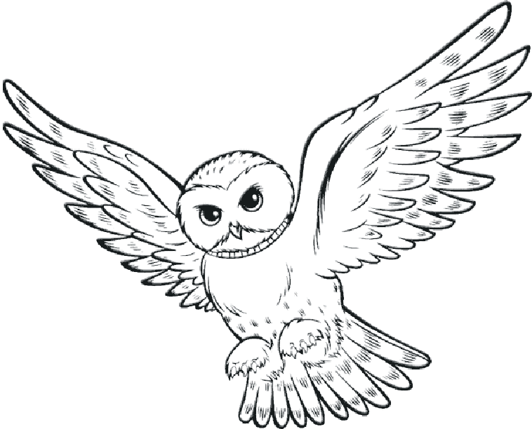 enero 2011 ~ Dibujos para Colorear Infantil enero 2011 ~ Dibujos para Colorear Infantil