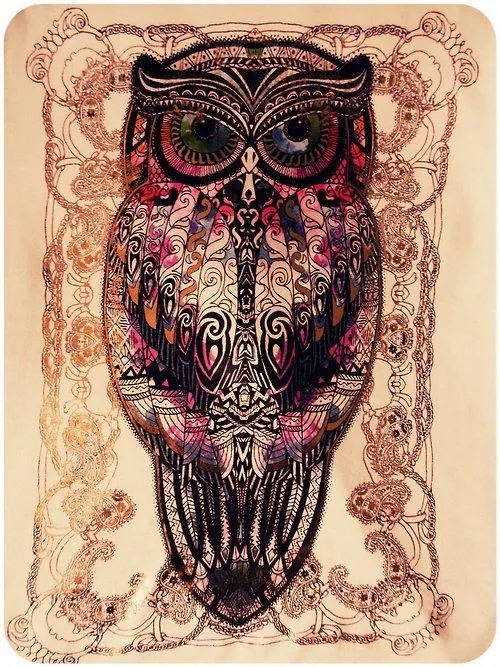 buho hipster | Tumblr
