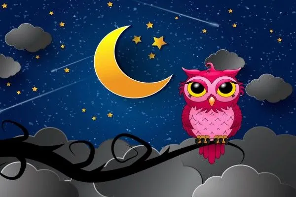 Búho rosa en una noche silenciosa (45490)