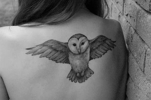 buho tatuaje | Tumblr