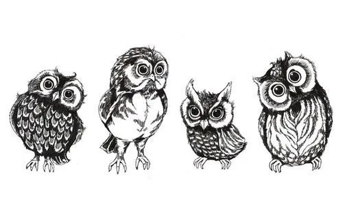 Dibujos de buhos tumblr - Imagui