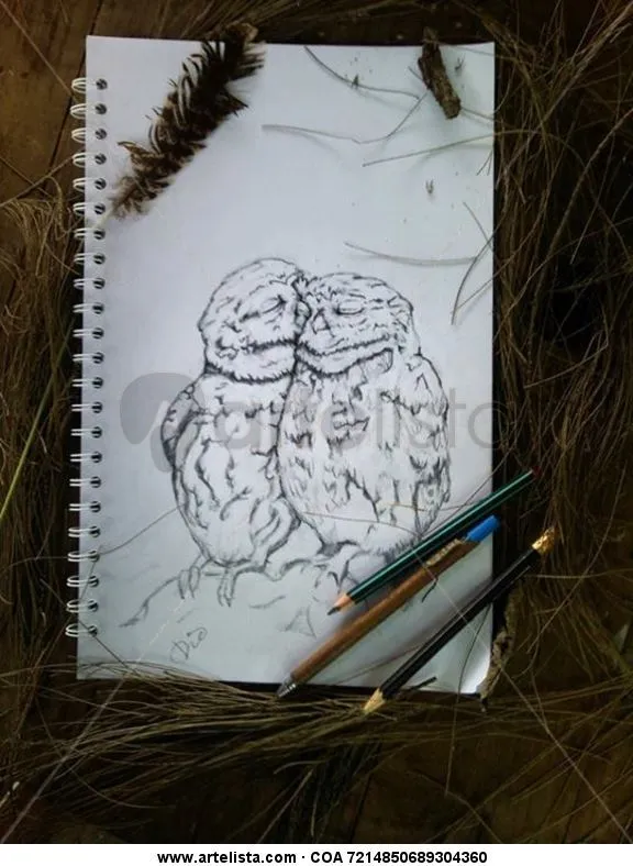 Buhos amor Dino Zamora - Artelista.com