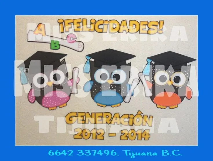 Búhos graduados | Graduación | Pinterest
