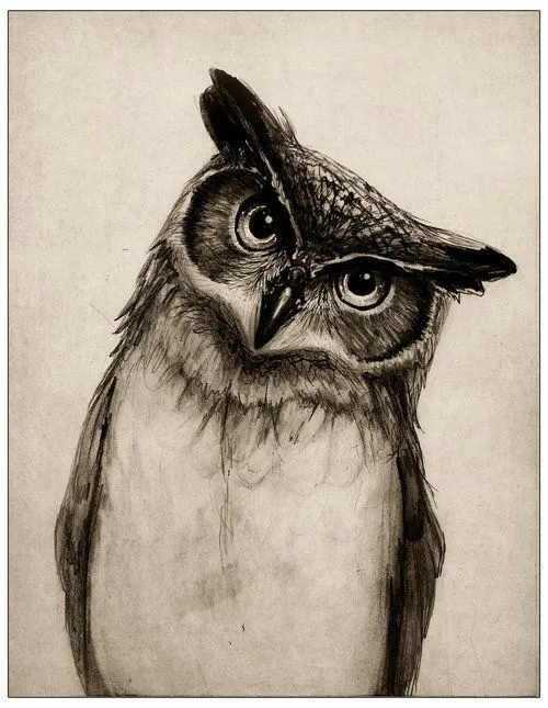 Buho tumblr hipster - Imagui