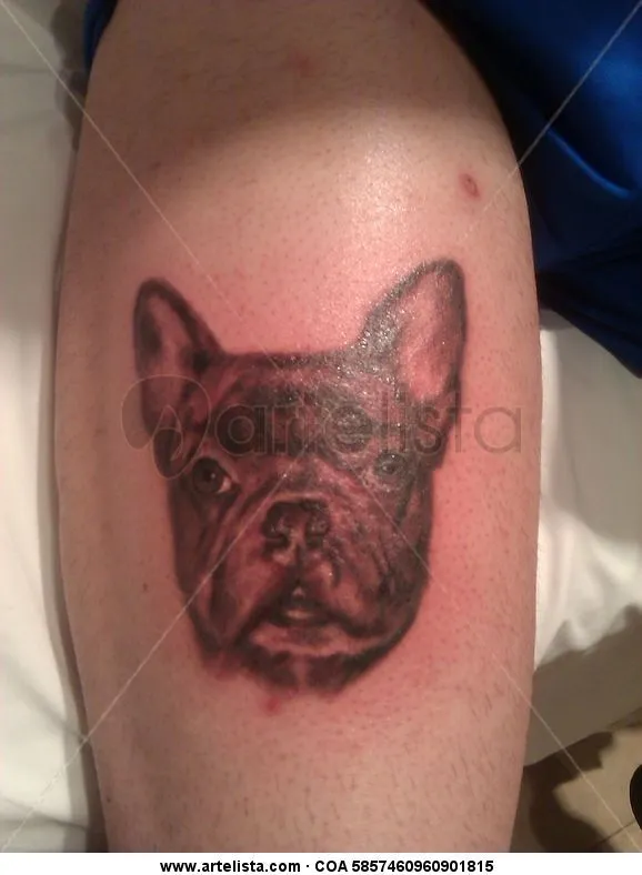 Bulldog frances tatuaje,tattoo en negro por Moacir lemos ... Bulldog frances tatuaje,tattoo en negro por Moacir lemos ...