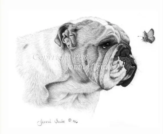 Bulldog Inglés 11 x 14 y mariposa impresión del por jennietruitt