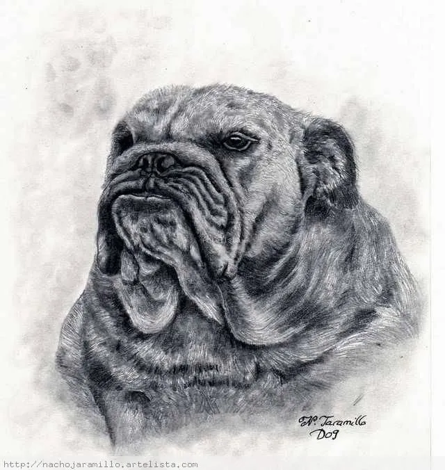 Bulldog Inglés Ignacio Jaramillo Villar - Artelista.com