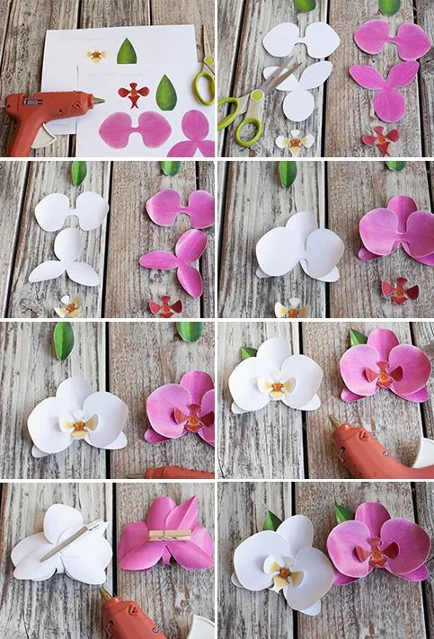 Bulubú: De pasiones y Orquídeas