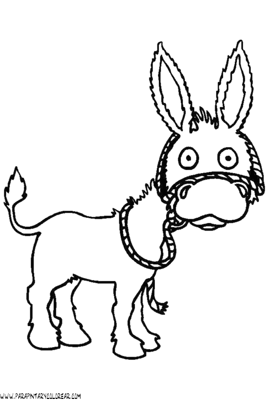 dibujos-para-colorear-de-burros-010