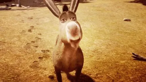 burro do shrek | Tumblr