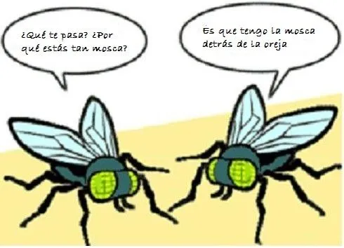 EL BURRO EXPLOSIVO: ¿Qué te pasa mosca? EL BURRO EXPLOSIVO: ¿Qué te pasa mosca?
