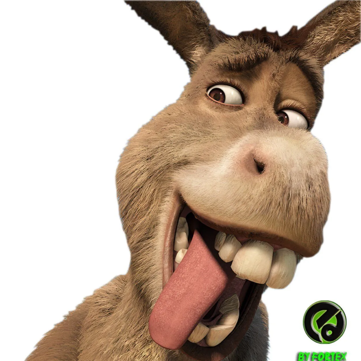 El burro de shrek (@1Elburro) | Twitter