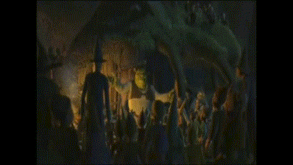 burro de shrek | Tumblr