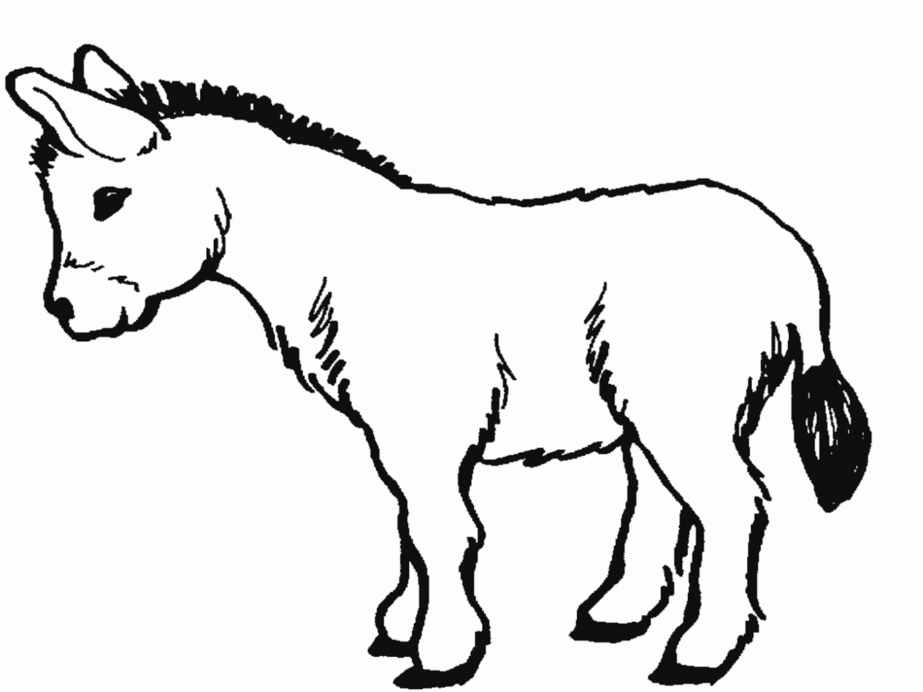 colorear-burros-dibujos- ...