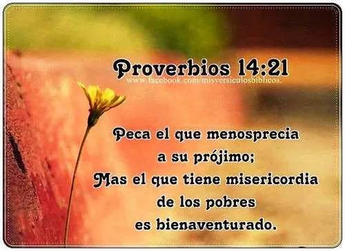 Busaca - imágenes - proverbios
