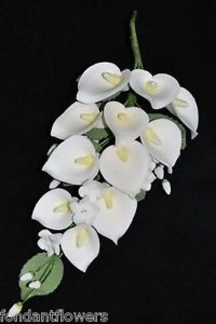 Ramos de flores con cala para bodas de fohami - Imagui Ramos de flores con cala para bodas de fohami - Imagui