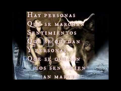 SE BUSCA,,,,,,IMAGENES Y FRASES - YouTube