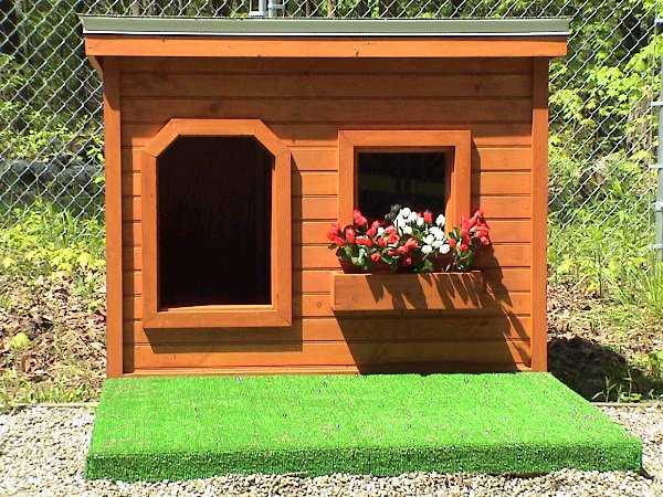 Buscando el lugar ideal para tu perro?¡Las mejores ideas! | Jardin ...