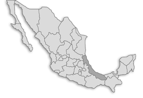 Buscar Empleo por Ciudad y Estado - OCCMundial
