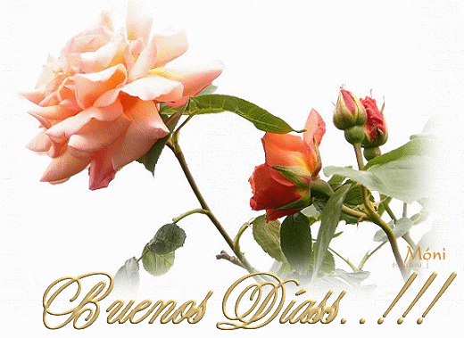 buenos dias - Buscar con Google | ♥♥╬Buen Dia╬♥♥ | Pinterest ... buenos dias - Buscar con Google | ♥♥╬Buen Dia╬♥♥ | Pinterest ...