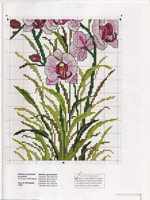 Busco grafico de Orquideas | Aprender manualidades es facilisimo.com Busco grafico de Orquideas | Aprender manualidades es facilisimo.com