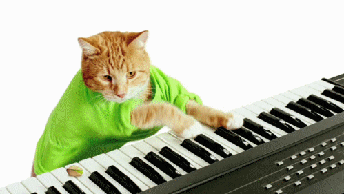 Gifs y animaciones de gatos tocando el piano | Busco Imágenes Gifs y animaciones de gatos tocando el piano | Busco Imágenes