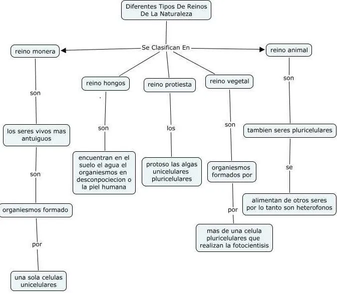 C. CLASIFICACION SERES VIVOS. Und 1 | descubriendomientorno