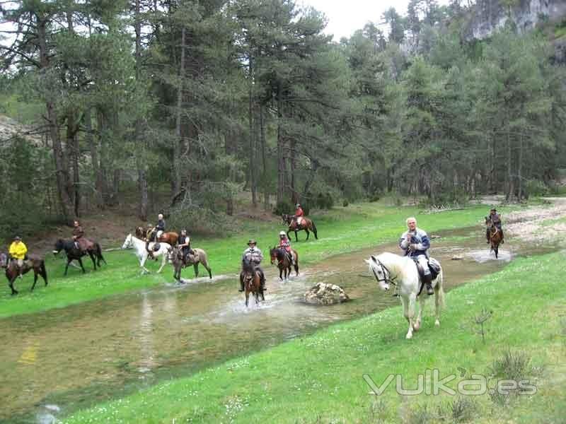 Caballerizas Bikuña Vicuña - á lava